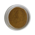 Clear heat and regulate menses motherwort extract leenurus heterophyllus extract leonurine powder 10:1 20:1 30:1